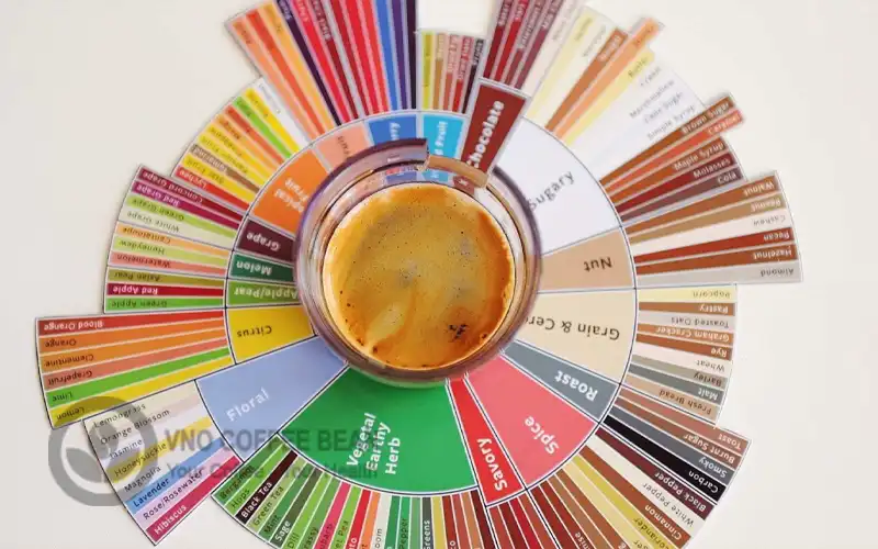 wheel of flavor coffee