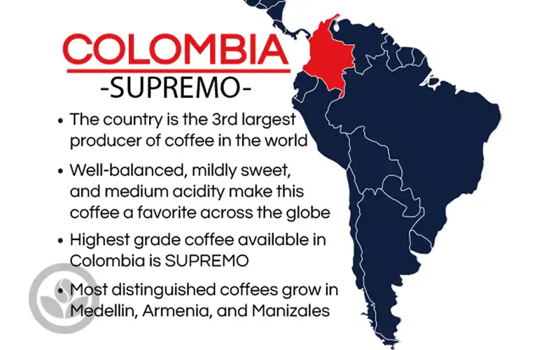 Cà Phê Colombia Supremo - Hành Trình Của Hương Vị - Từ Nông Trại Đến Ly Cà Phê Đặc Sản