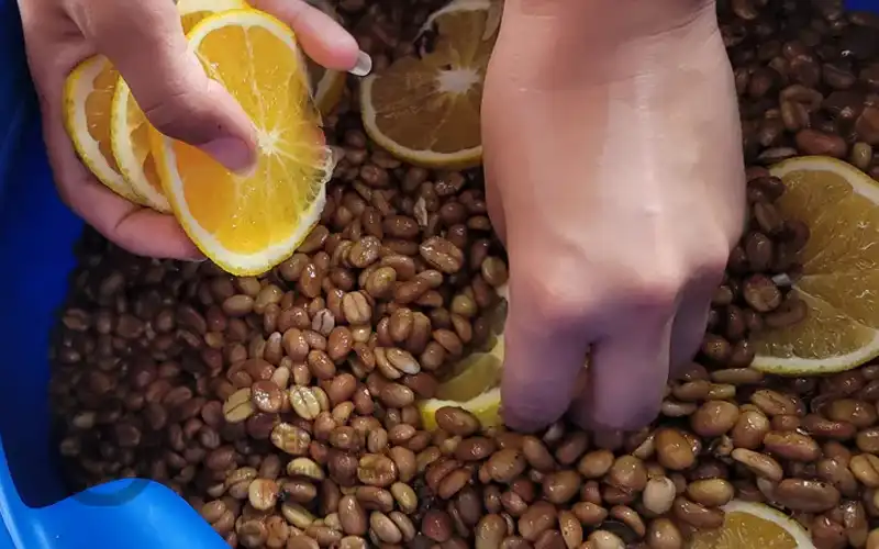 Cà phê Lên Men Trái Cây - Fruit Fermented Coffee