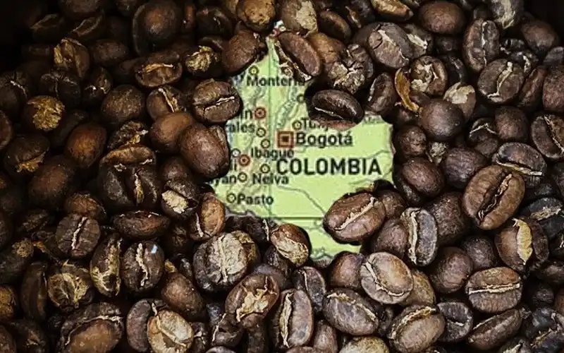 Colombia Decaffeinated Coffee - Vụ mới 2025 đồng hành cùng VNO COFFEE BEAN