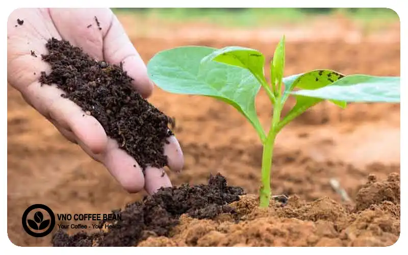 Nông nghiệp hữu cơ là tương lai bền vững