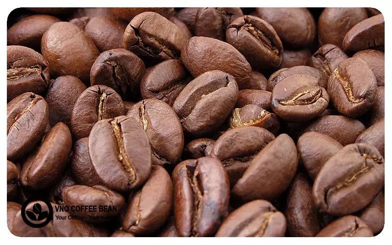 hạt cà phê arabica