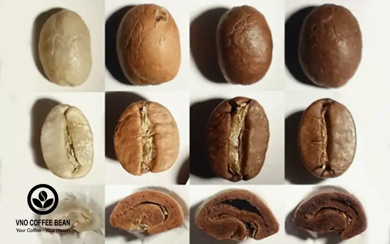 cà phê hữu cơ của VNO Coffee Bean