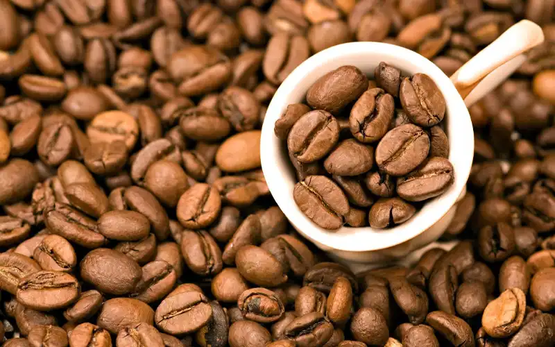 Hình ảnh cà phê trái chín đỏ