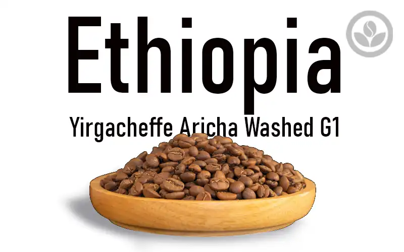 fruit-fermented-coffee