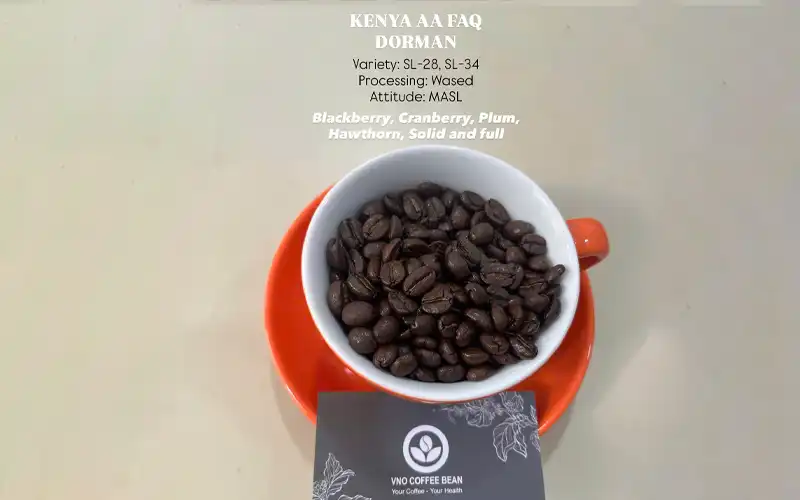 fruit-fermented-coffee