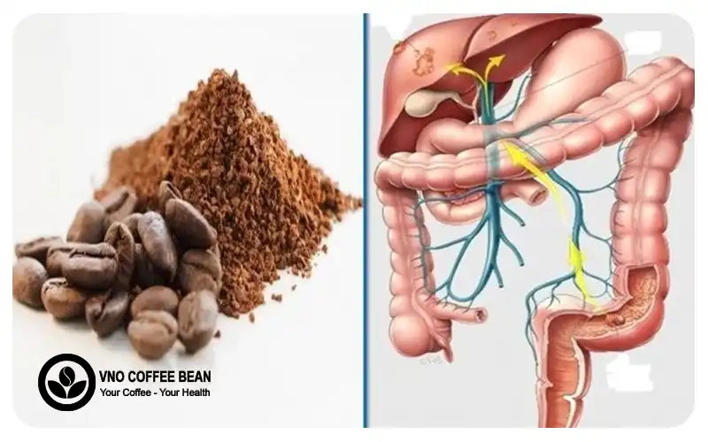 CÀ PHÊ HỮU CƠ CÓ CHỨC NĂNG DETOX THẢI ĐỘC TỐ