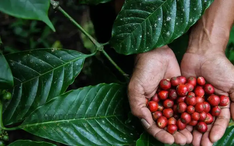 Supporting Sustainable Communities