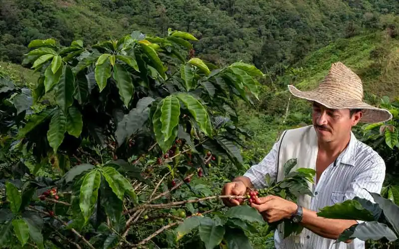 Sustainable Farming Practices