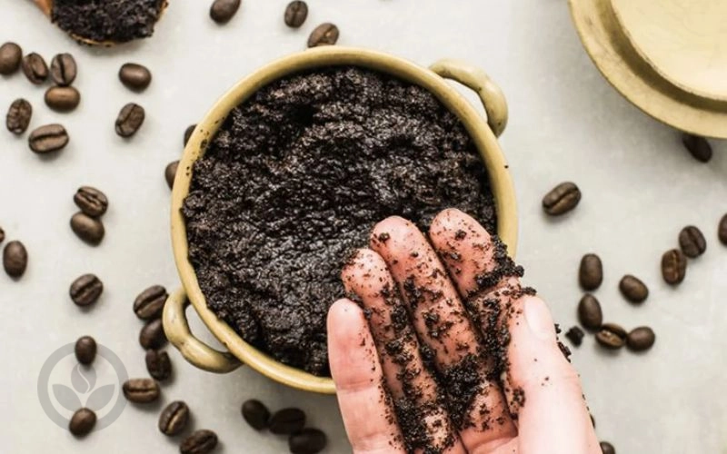 đừng bỏ bã cà phê vào thùng rác