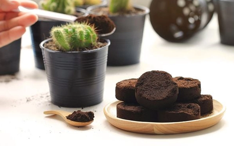 Sống xanh cùng cà phê